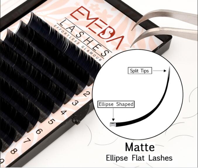 ellipse flat lashes manufacturer.jpg
